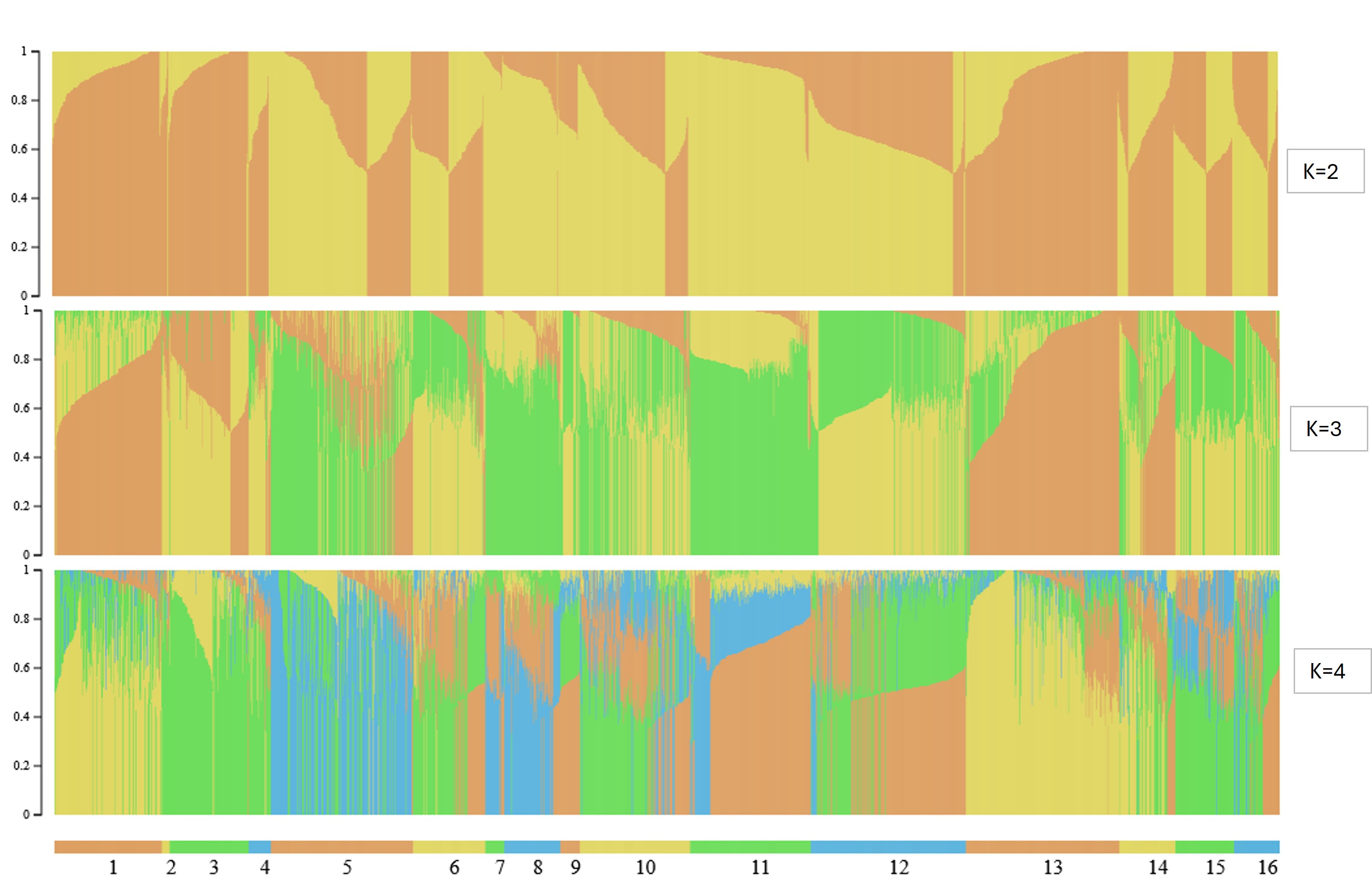 Figure 18