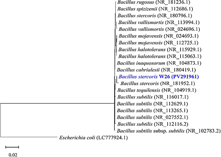 Figure 6
