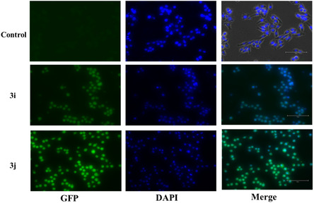 Figure 17