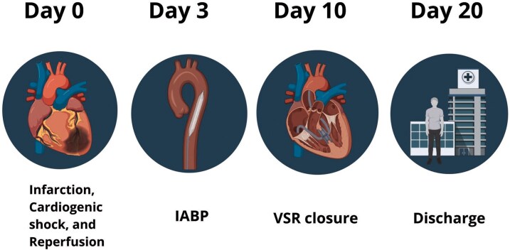 Figure 8