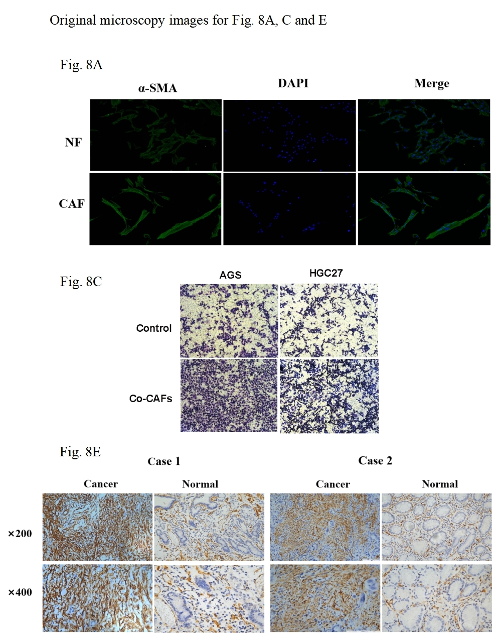 Figure 17