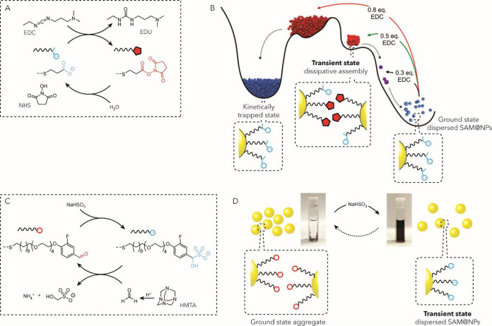 Figure 19