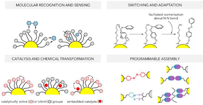 Figure 20