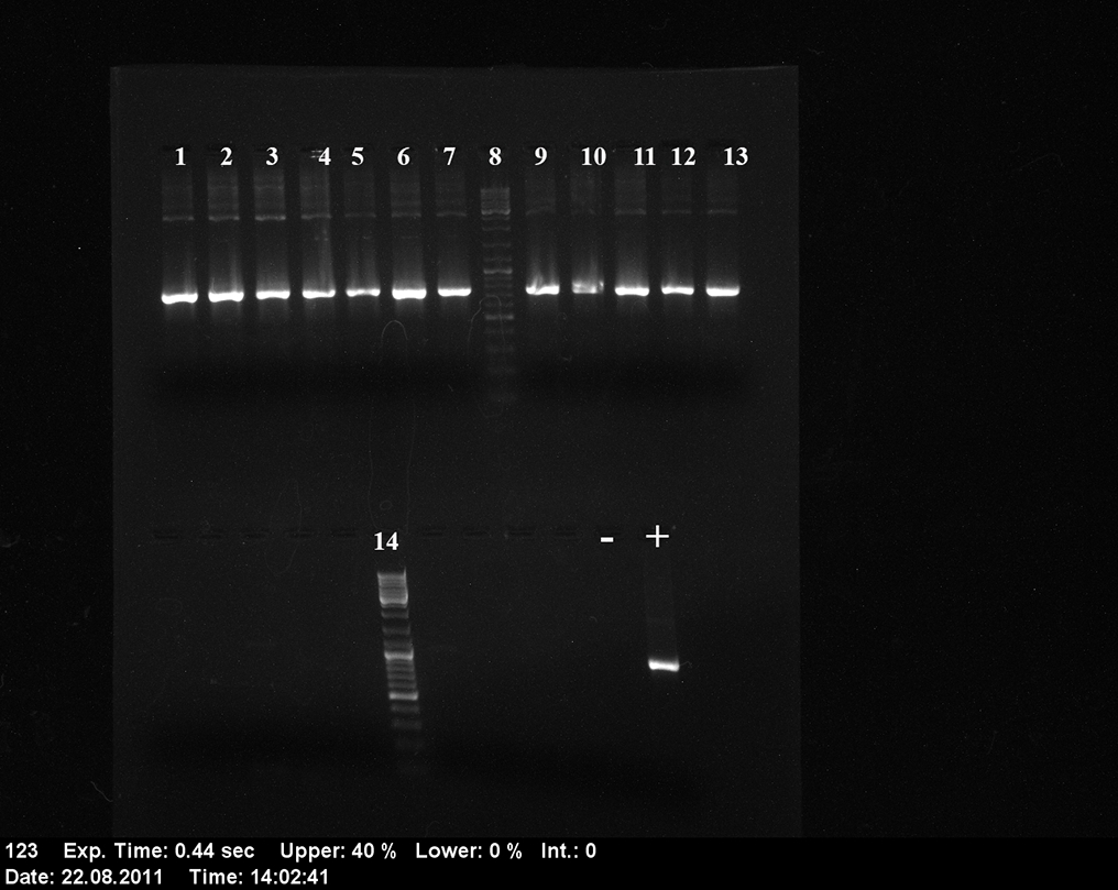 Figure 10