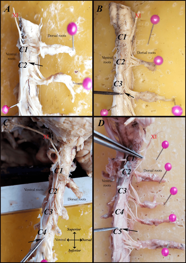 Figure 9