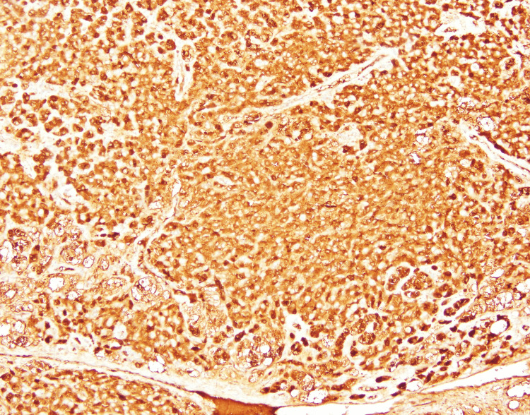 Figure 9