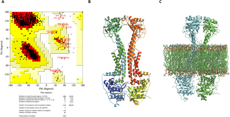 Figure 12