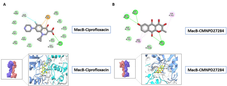 Figure 13
