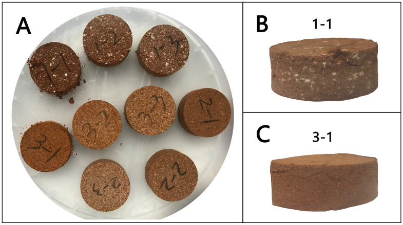 Figure 13