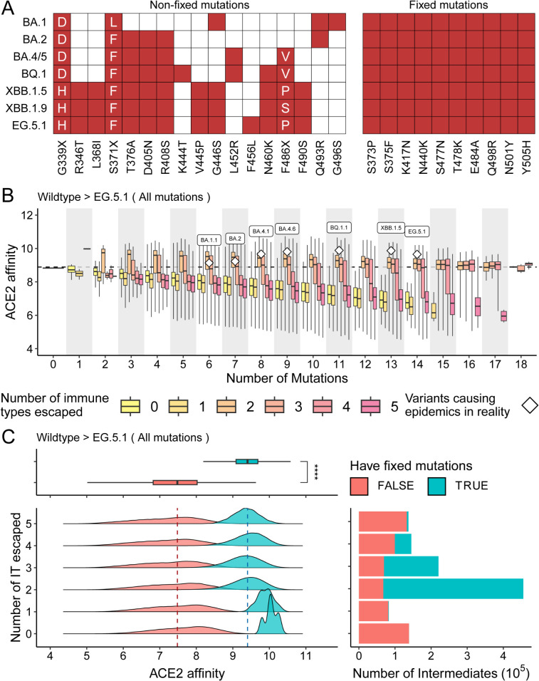 Figure 36