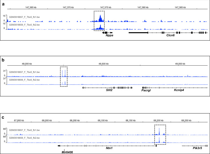 Figure 14