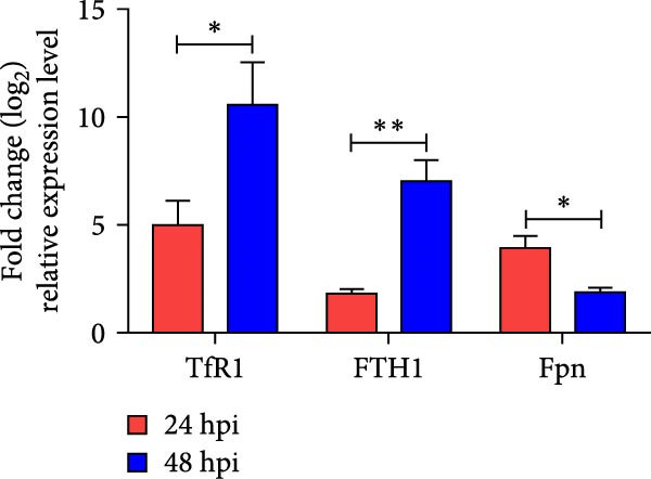 Figure 5