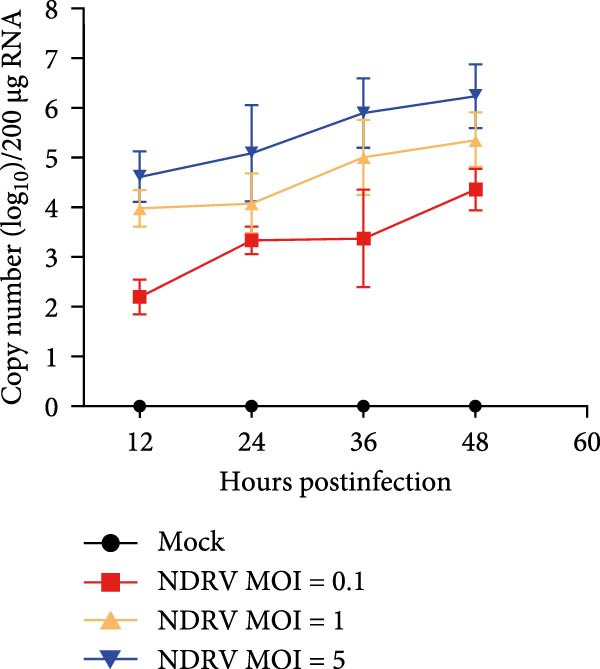 Figure 20