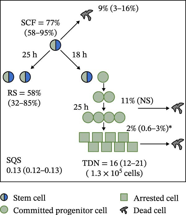 Figure 19