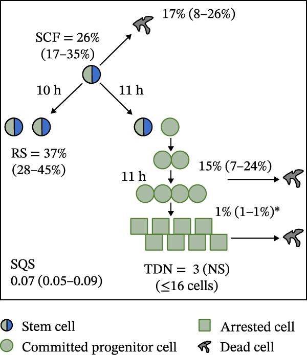 Figure 20