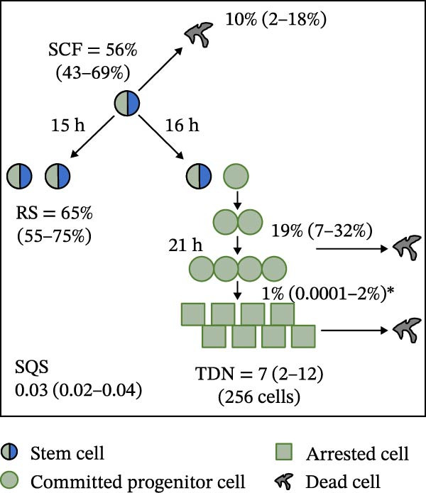 Figure 22