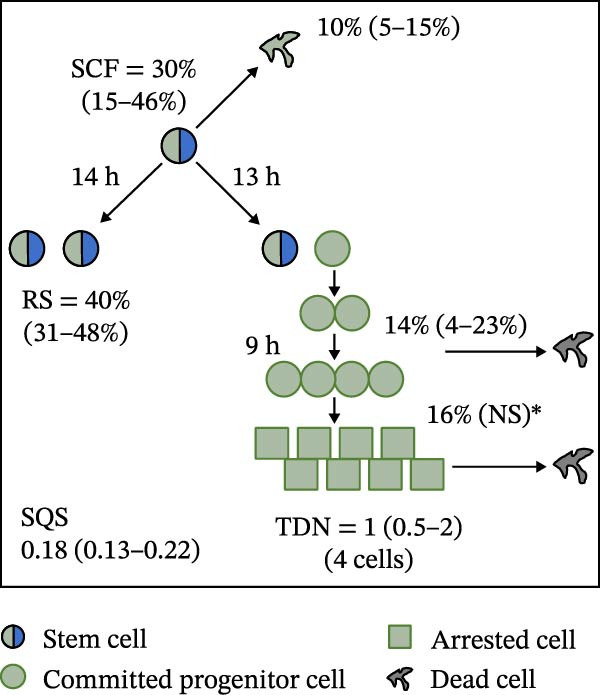 Figure 24