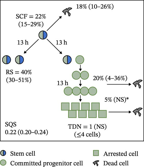 Figure 25