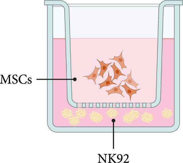 Figure 20