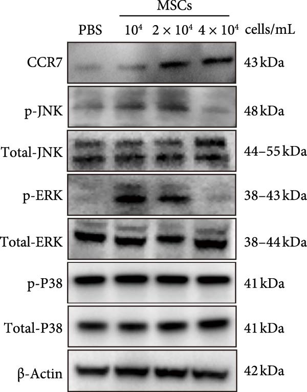 Figure 21