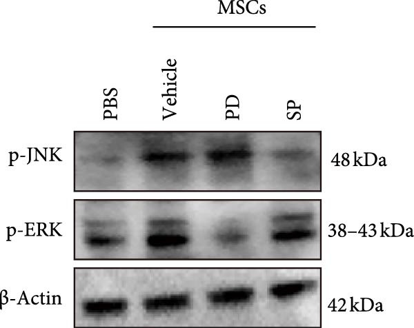 Figure 22