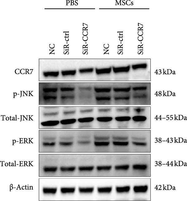Figure 23