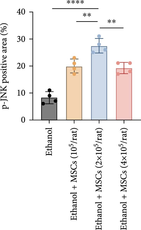 Figure 25