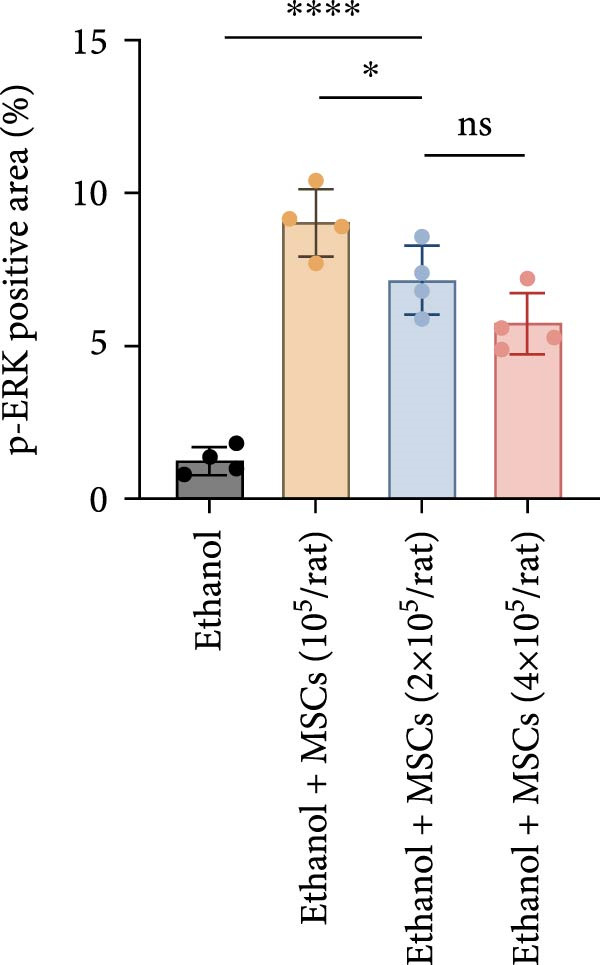 Figure 26