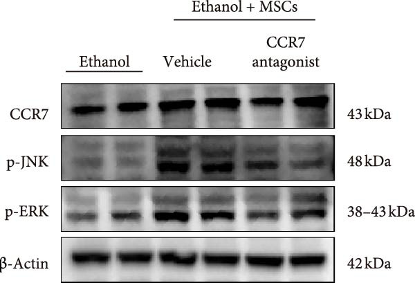 Figure 28