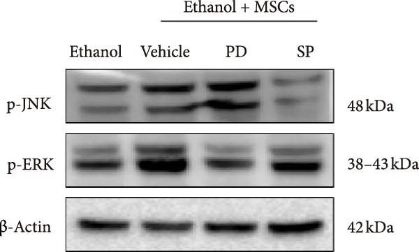 Figure 29