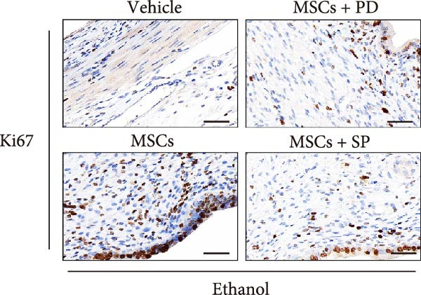 Figure 30