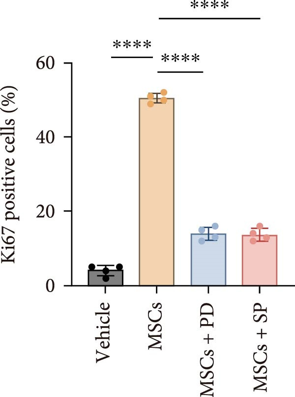 Figure 31