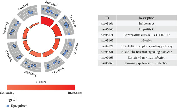 Figure 12