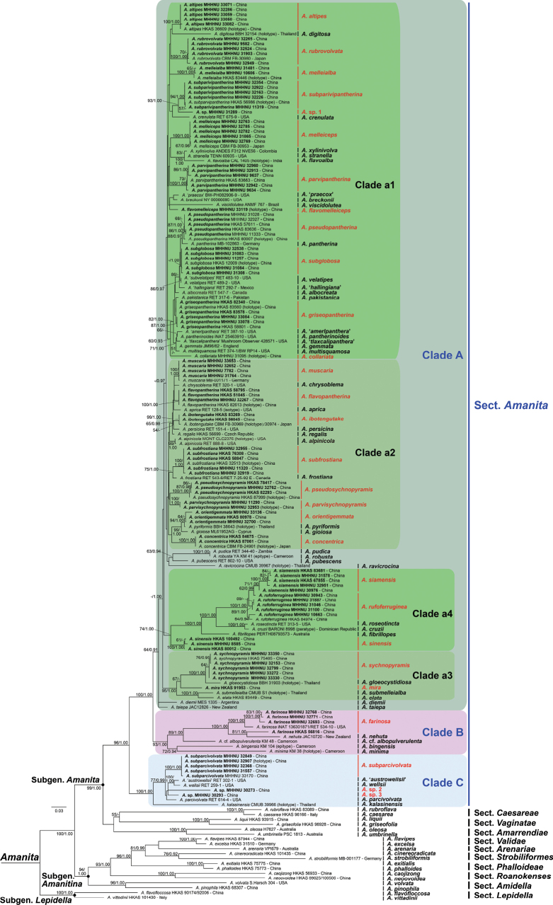 Figure 2