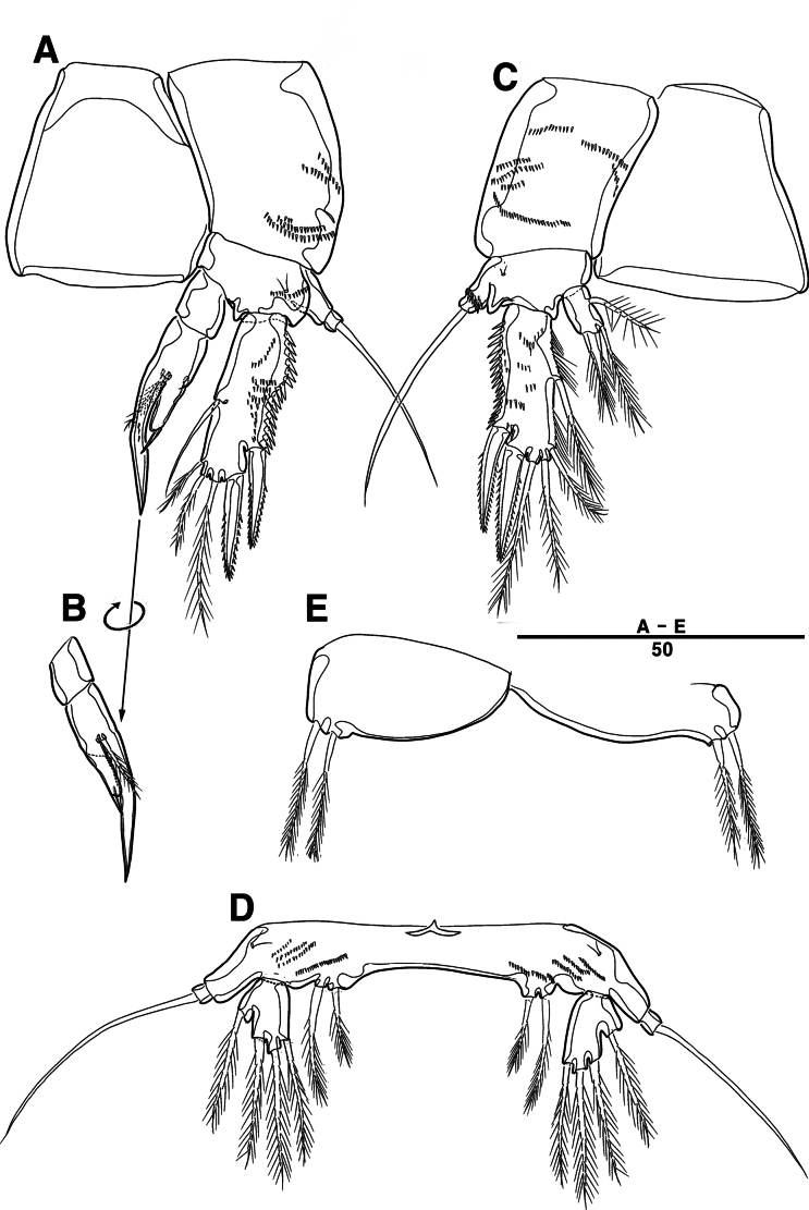 Figure 8