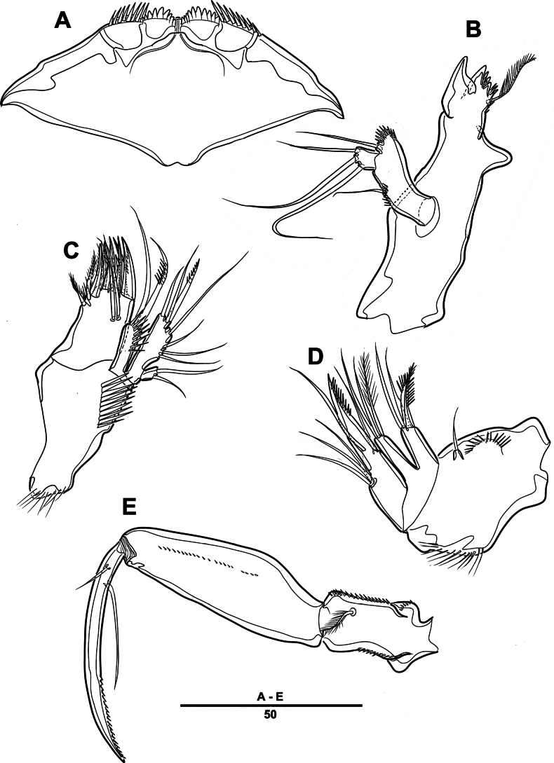 Figure 13