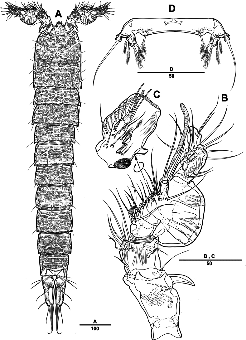 Figure 15