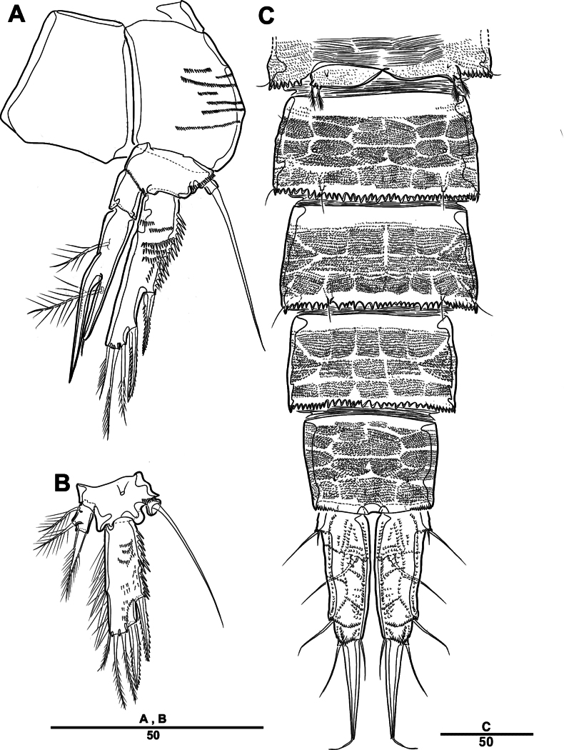 Figure 16