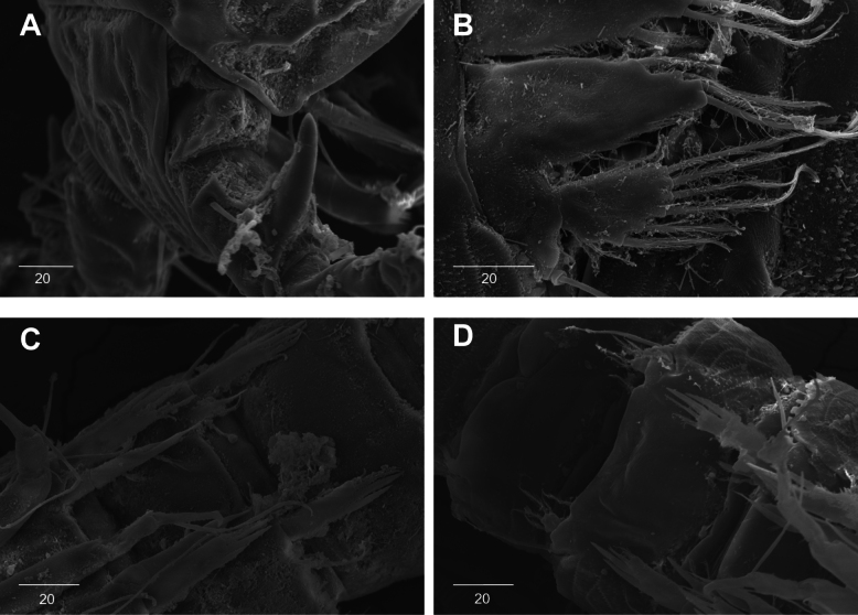 Figure 17