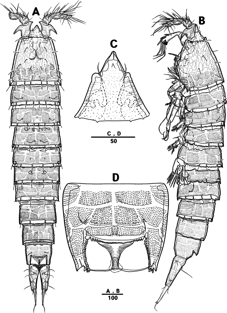 Figure 18