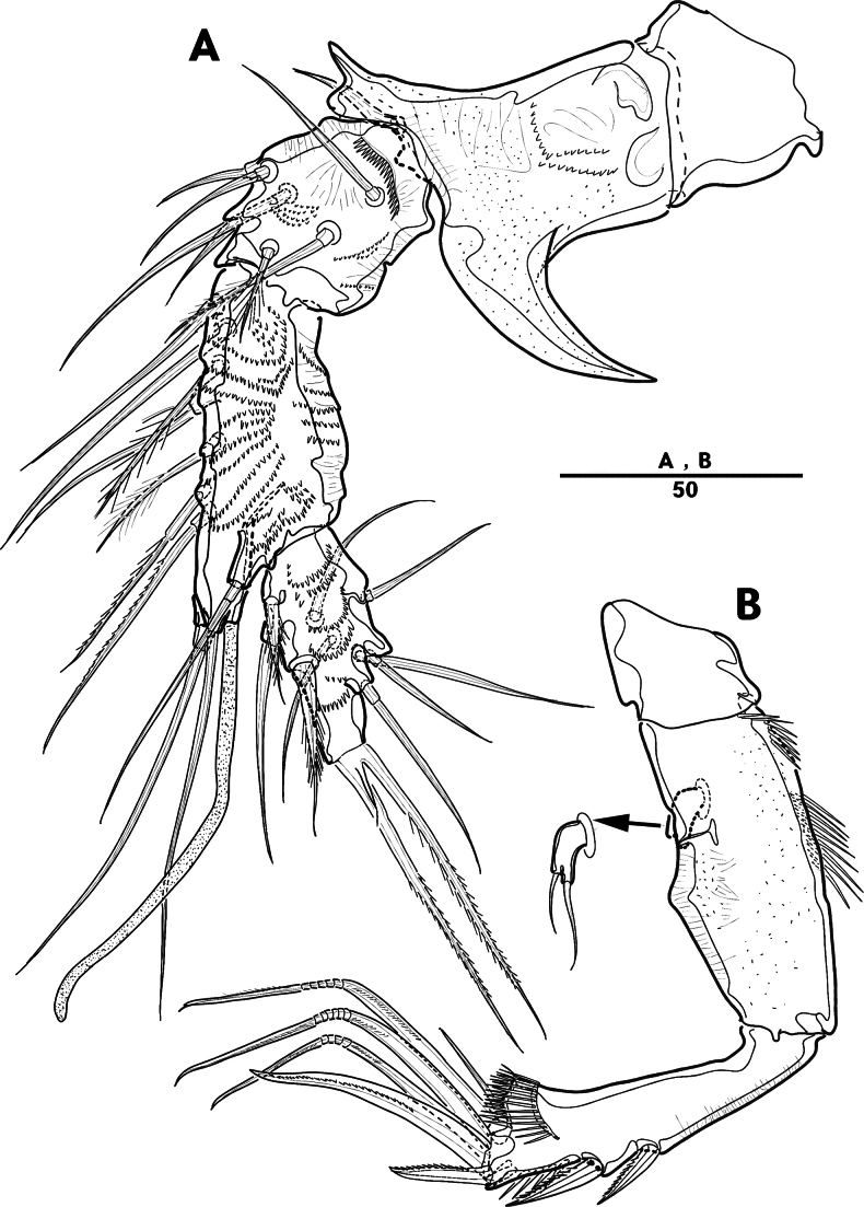 Figure 19