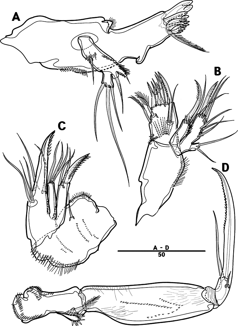 Figure 20