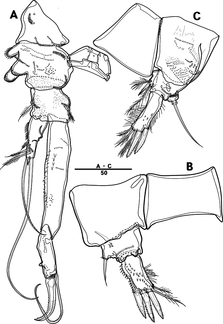 Figure 21