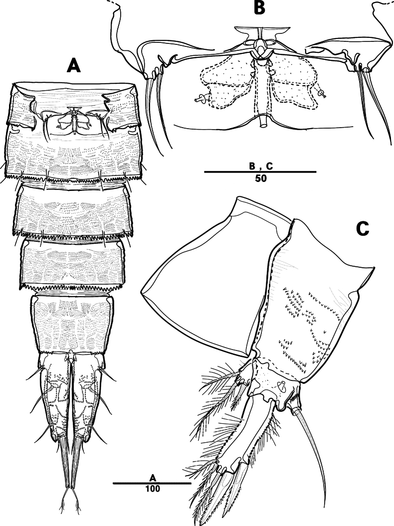Figure 22
