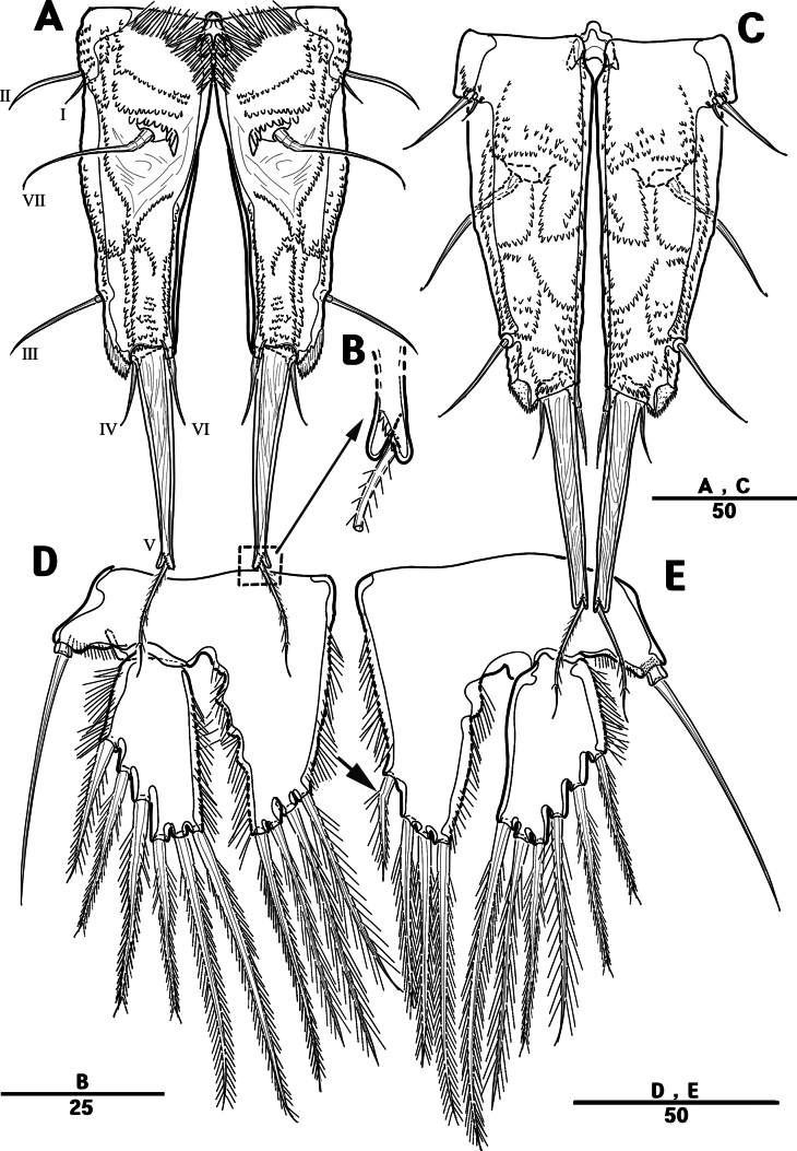 Figure 23