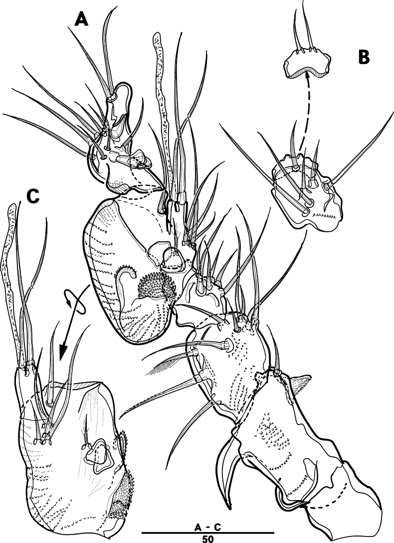 Figure 25