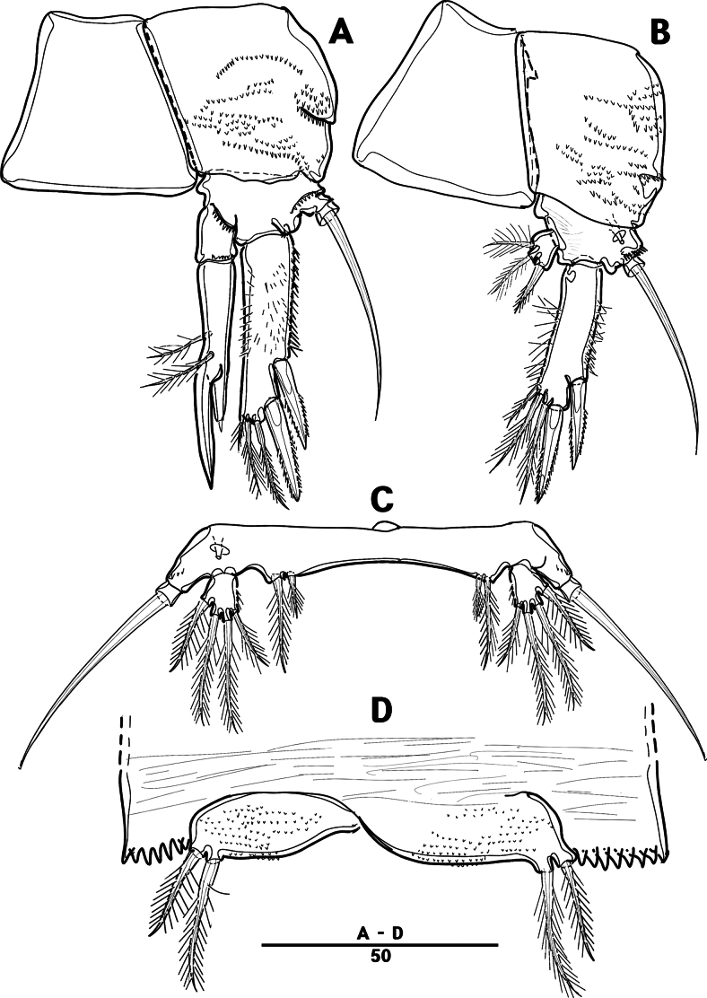 Figure 26