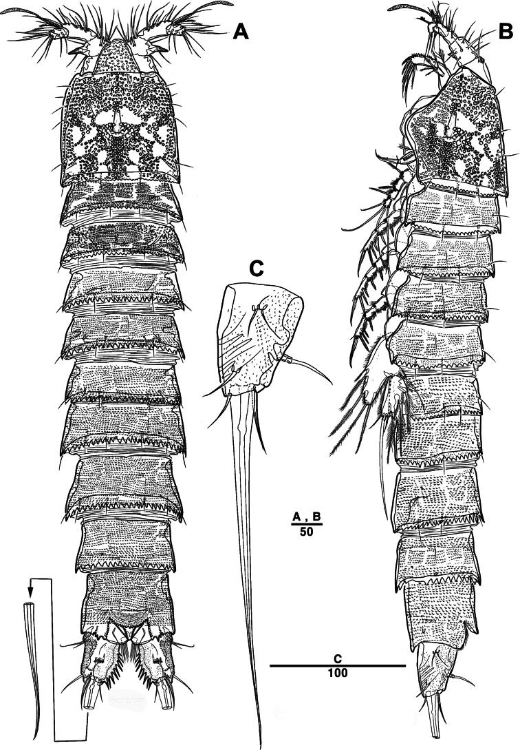 Figure 27
