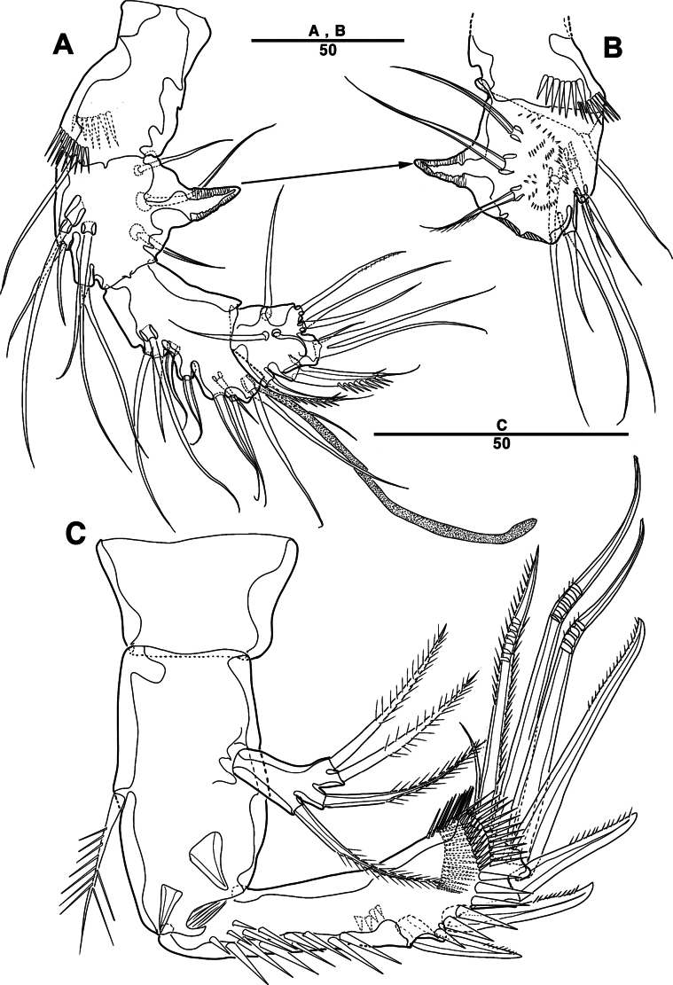 Figure 28