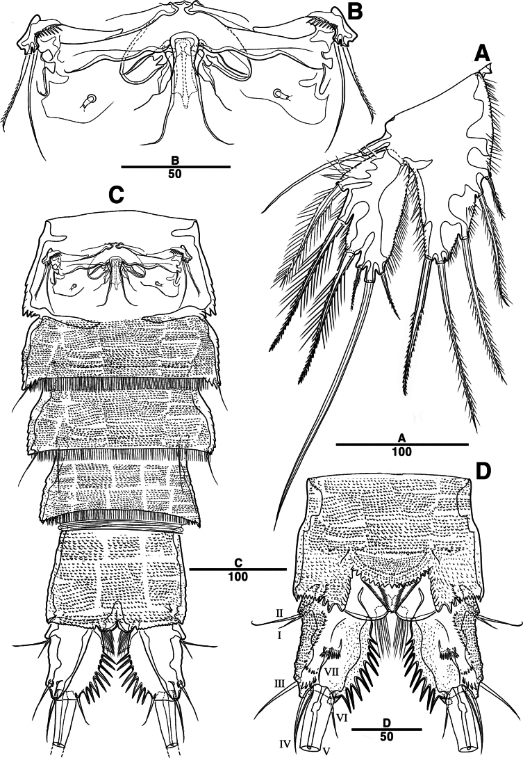 Figure 29